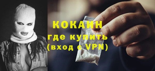 хмурый Алексин