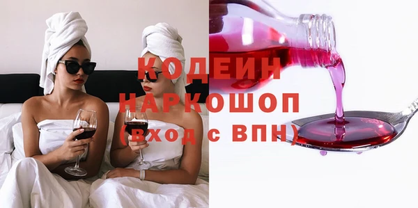 хмурый Алексин