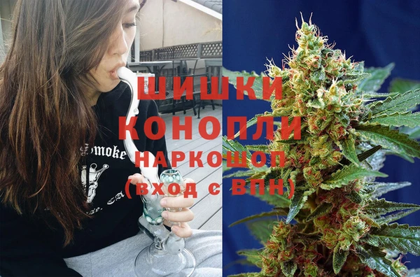 прущие грибы Алзамай