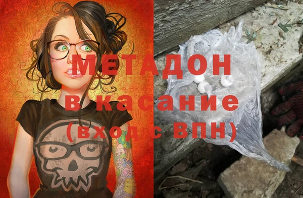 прущие грибы Алзамай