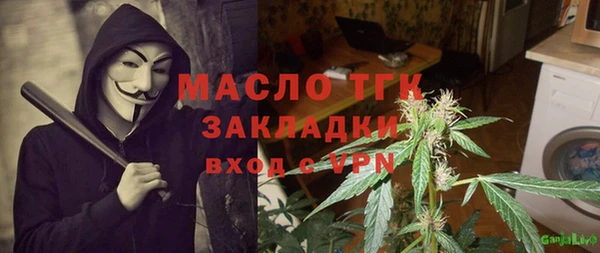 хмурый Алексин